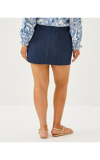 Colette Stretch Denim Skinny Jean - Dark Wash