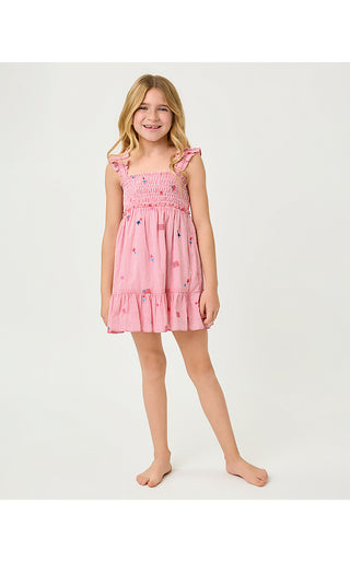 Girls Mini Hadly Dress - Paradise Punch Its A 250Th Celebration Stripe