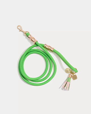 Pet Leash - Crazy Quilt Home