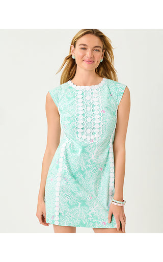 Rosalena Stretch Shift Dress - Mint Condition Fantastical