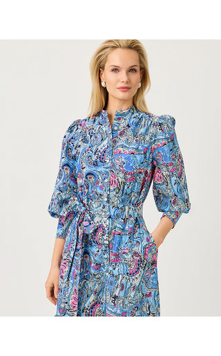 Drena Midi Dress - Multi Paisley Parade Engineered