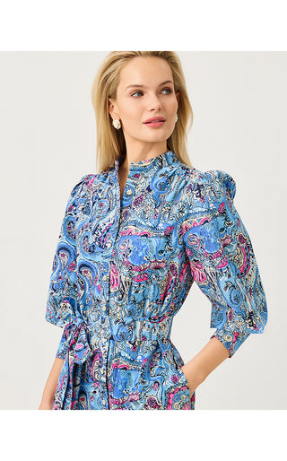 Drena Midi Dress - Multi Paisley Parade Engineered