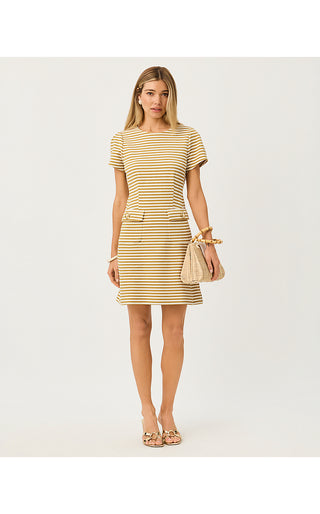Fallon Dress - Gold Metallic Ottoman Stripe