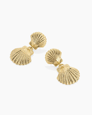 Shell Drop Earrings - Gold