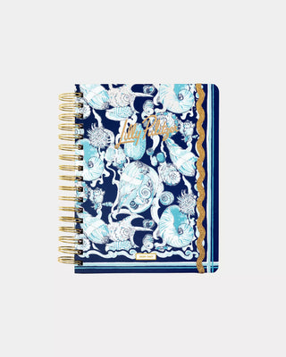 Large 17 Month Agenda - Shell Shine