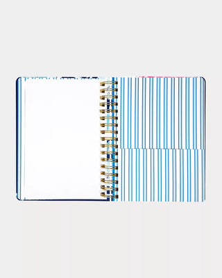 Large 17 Month Agenda - Shell Shine