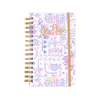 Medium 17 Month Agenda (2025-2026) - Tis The Sea Sun